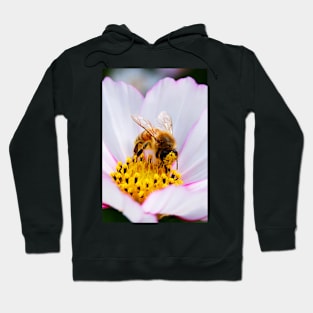 Busy Bee Hoodie